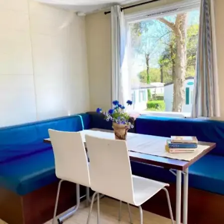 Campeggio Zecamping 5 Pet Friendly Animé Avec Piscine Couverte En Bord De Saint-Georges-d'Oleron