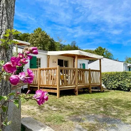 Zecamping 5 Pet Friendly Anime Avec Piscine Couverte En Bord De Campingplads