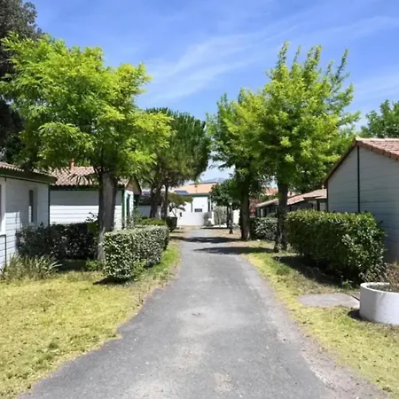 Zecamping 5 Pet Friendly Anime Avec Piscine Couverte En Bord De Campsite