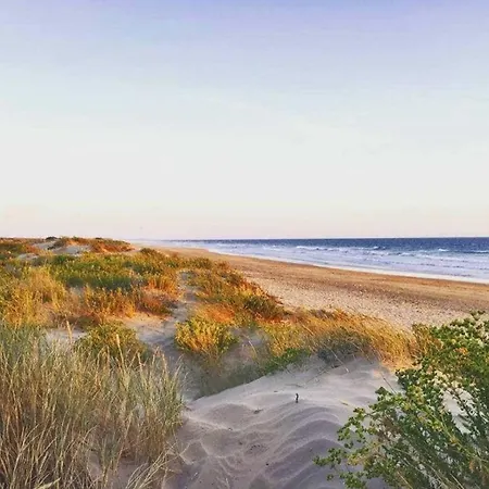 Kemping Zecamping 5 Etoiles Pet Friendly Anime Avec Piscine Couverte En Bord De Mer Saint-Georges-d'Oléron